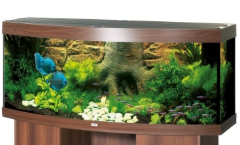 Juwel Vision 450 Aquarium-Set 450l dunkelbraun