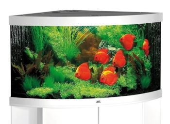 Juwel Trigon 350 Eck-Aquarium-Set 350l weiss