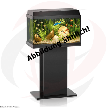 Juwel Primo 60 LED Aquarium-Set 60l schwarz