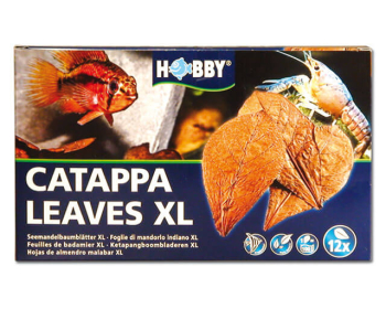 HOBBY Catappa Leaves XL 12St&uuml;ck