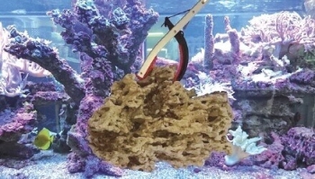 Korallen-, Futter- und Pflanzenzange 92 cm