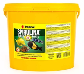 Tropical Super Spirulina Forte (36%) 5 Liter