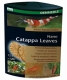 Dennerle Seemandelbaumblätter Nano Catappa Leaves 12Stück Ergänzungsfutter für Garnelen